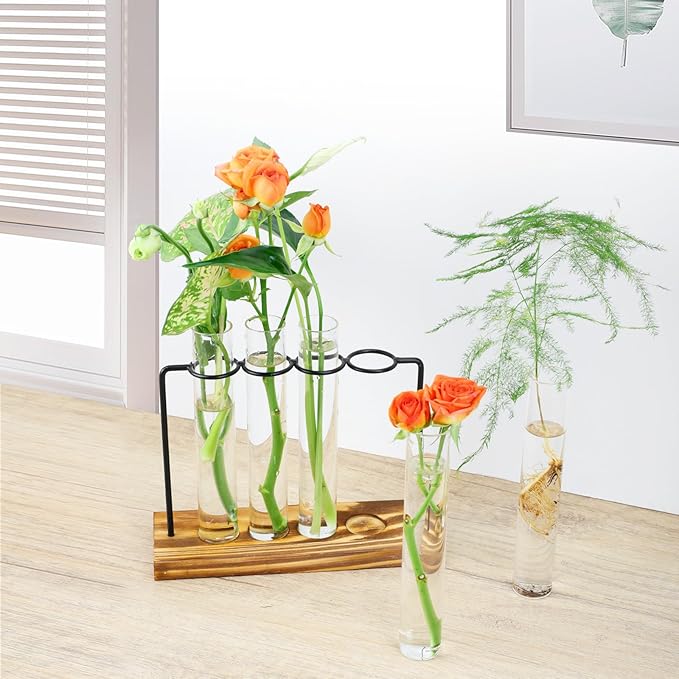 Plant Propagation Station, Glass Tubes for Indoor Hydroponic Plants & Flower Stems, Home/Office Decor, Birthday Gifts for Women, Gardening Gifts for Mom