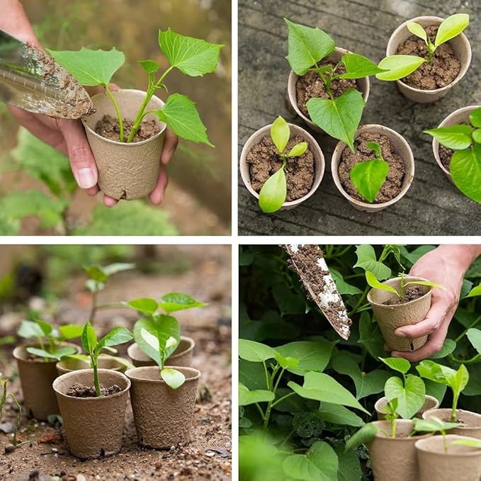 130 Pcs 3.15 Inch Organic Peat Pots with Drainage Holes - Biodegradable Seed Starter Pots for Seedlings, Plants & Garden Germination - Includes 130 Planting Labels