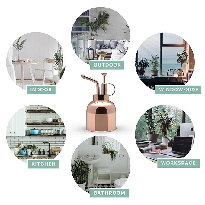 Stainless Steel Plant Mister Spray Bottle Watering Can for Indoor Plants Succulent Bonsai Garden Spray Houseplant Spritzer Modern Garden Tools 10oz/300ml (ROSE GOLD)