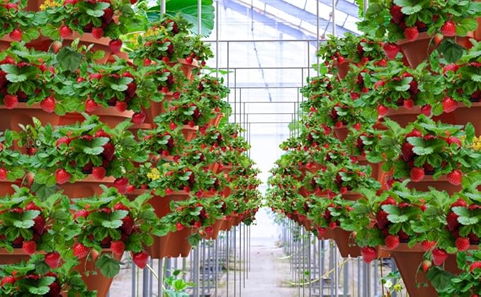 Strawberry Stackable Planter, Vertical Tower Garden, 5 Tiered Stacking Herb Vegetable Planters with Movable Casters and Bottom Saucer Indoor and Outdoor - Terra Cotta