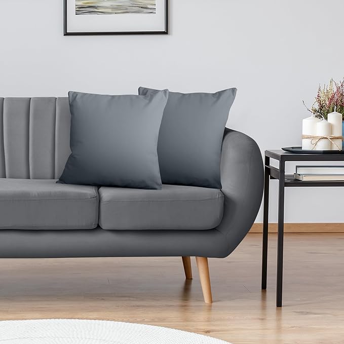 Utopia Bedding Throw Pillows Insert (Pack of 2, Grey) - 22 x 22 Inches Bed and Couch Pillows - Indoor Decorative Pillow