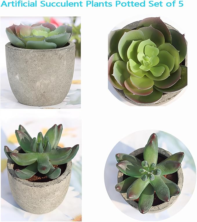 Set of 5 Artificial Succulent Plants in Pots - Lifelike Fake Succulents for Desk Decor, Low-Maintenance Home & Office Decor Gift