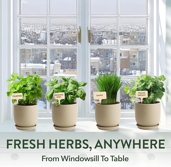 HOME GROWN Indoor Organic Herb Garden Kit – Unique Christmas Gift for Adults, Men, & Women - Grow 4 Herb Seeds for Kitchen Window Garden – Beginner DIY Hobby Gardening Gift for Plant Lovers, Mom & Dad