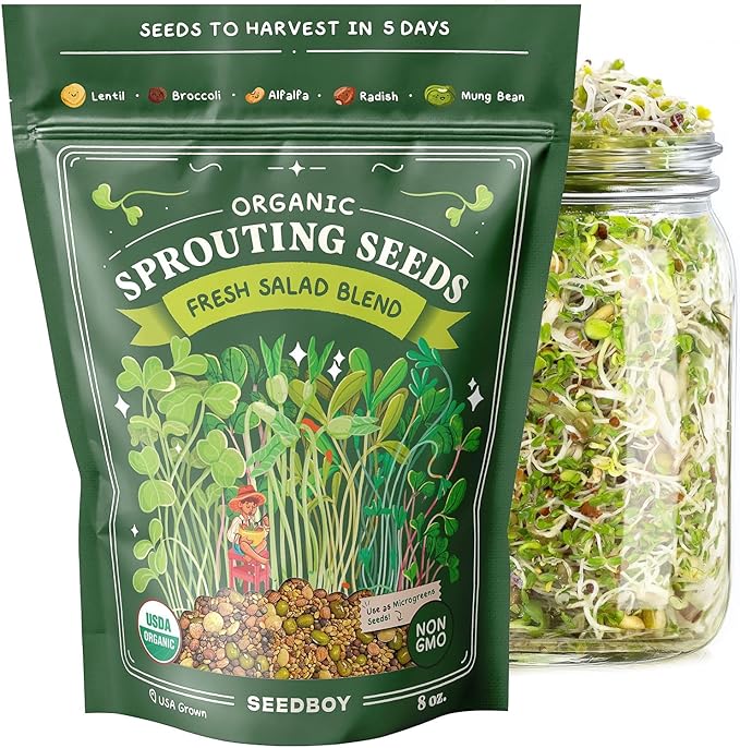 Seedboy Sprouting Kit Bundle - Sprouts Growing Kit with Jar, Lid, Stand and Organic Salad Blend Seeds (8 oz Bag, 24 Servings) - Non-GMO, USA Grown Microgreens - (Sprouting Jar/Salad Blend)