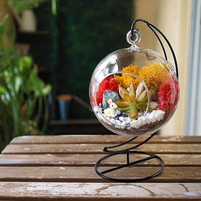 5" Glass Globe Succulent Terrarium Kit, Hanging DIY Starter Kit for Kids and Adult, Metal Stand, Reindeer Moss, Crystal & Rocks, Tools, Figurine (Live Plant Included)
