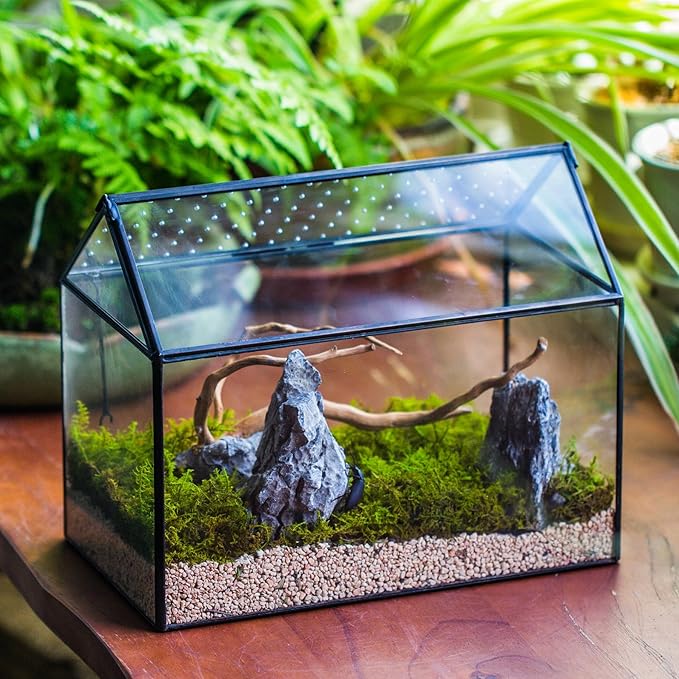 NCYP House Shape Glass Terrarium with Acrylic Lid - 10.2x5.9x8.2 Inches Large Geometric Box for Snails, Ferns, Succulents, Air Plants, Indoor Tabletop Decor, Handmade (Terrarium Only)
