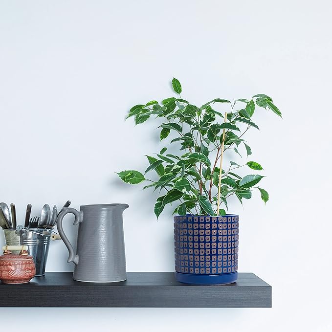 D'vine Dev Set of 2 Ceramic Planter Pots with Drainage Hole and Saucer, 4.5 Inch 6 Inch Plant Pots for Indoor Houseplants, Blue, 99-A-6