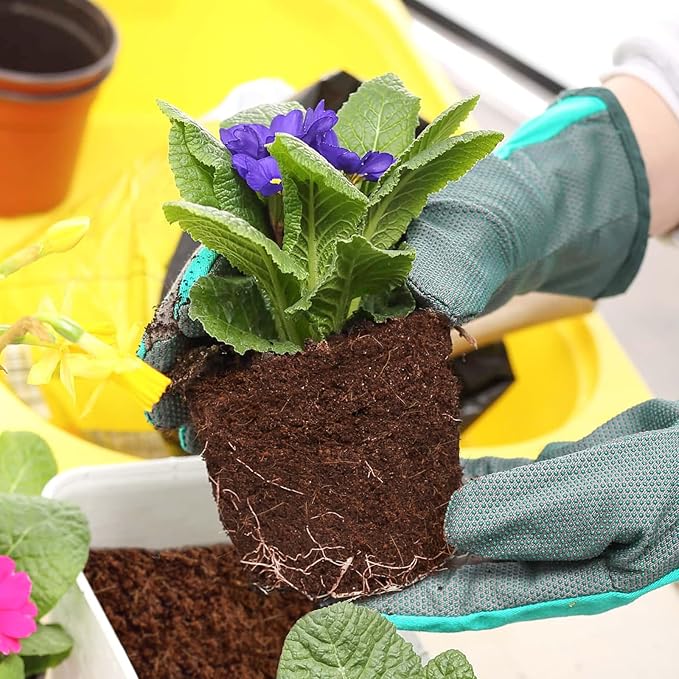 ZeeDix 100pcs 50mm Coco Coir Pellets, Compressed Coconut Coir Seed Starter Pellets Potting Soil Indoor Plants Soil Discs for Planting Flowers Bonsai Herbs Plants and Vegetables