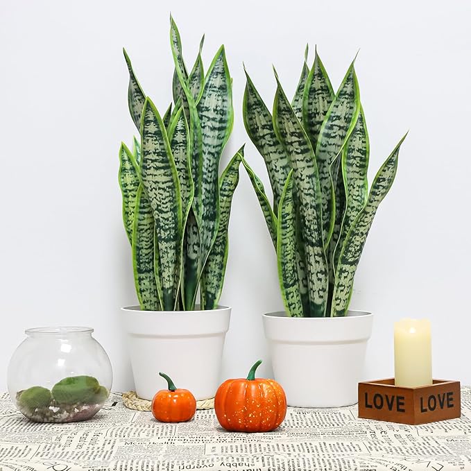 Artificial Snake Plant, Faux Sansevieria Agave Plants with White Pot, 21-inch Potted Fake Decorative Plant for Home Office Decoration Housewarming Gift (Set of 2)