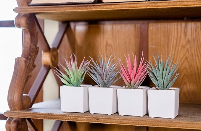 SUNPRAIRIE Classic Set of 4 Faux Succulents 7” Tall in Ivory White Stucco Ceramic Pots-Realistic Multi Colored Artificial Succulents Plants for Home & Office Decor.