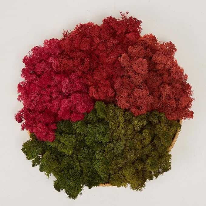 Preserved Reindeer Moss Natural Green DIY Kit Gardenning Art Wall Decor Florist Decor Easter Table Decor Wedding