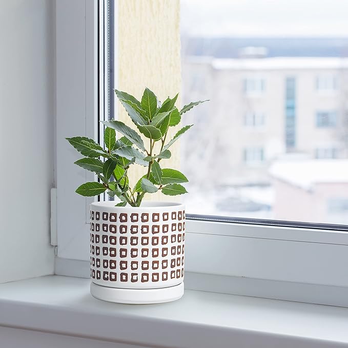 D'vine Dev Set of 2 Ceramic Planter Pots with Drainage Hole and Saucer, 4.5 Inch 6 Inch Plant Pots for Plants Indoor Houseplants, White, 99-A-1