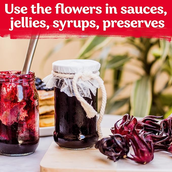 KVITER 150 Roselle Seeds for Planting (Hibiscus Sabdariffa) – Jamaican Sorrel/Cranberry Hibisco Seeds/Gongura Seed/Sour Leaf Seed – Perfect for Hibiscus Tea Organic, Outdoor & Indoor Garden