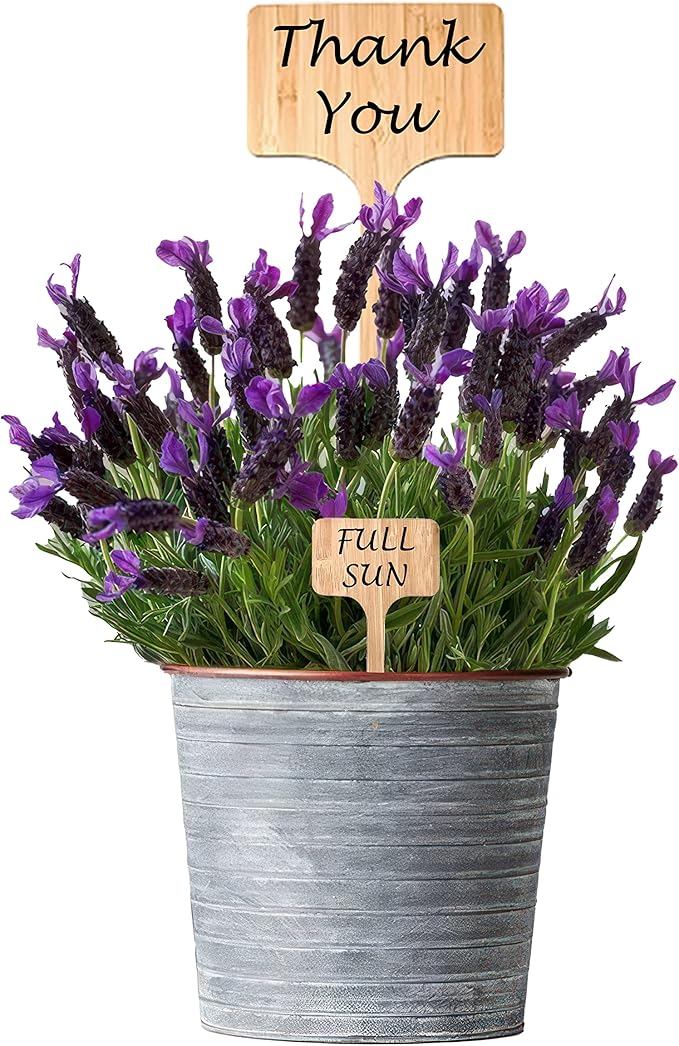 10 Pack 8 Inch Tall Plant Labels Large Garden Markers Plant Name Tags for Flowers, Herbs, Vegatables, Seeds, Bulbs Easy to See Larger Writing Area with Full Size Marker