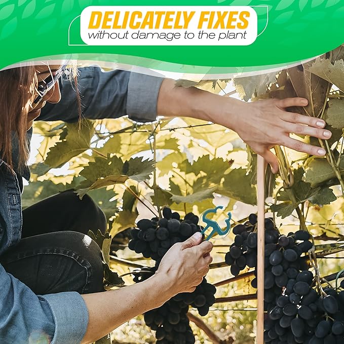 Tomato Clips for Garden - 60 Pcs 2 Sizes Plastic Tomato Plant Clips for Support & Upright Growth, Reusable & Adjustable, Gentle & Reliable Fixation, Easy to Use - for Stems, Flowers, Vines, Vegetables