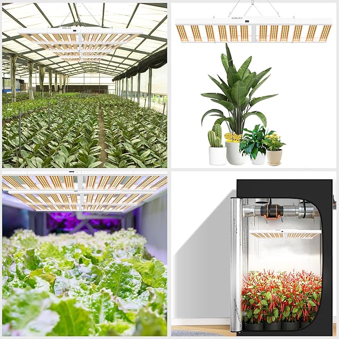 2024 New SPF6000 PRO 600W LED Grow Light 6x6ft Coverage with Veg & Bloom Dimmer Timer Full Spectrum Grow Lamps for Indoor Plants Seeding Flowering LED Plant Light Fixture