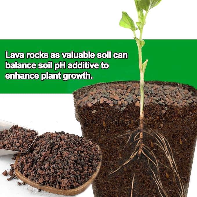 CJGQ 3lb Mix Lava Rocks for Plants-Horticultural Volcanic Rock Gravel for Landscaping Plants Drainage, Succulents, Bonsai, Vase Fillers, Terrarium Plants, Top Dressing