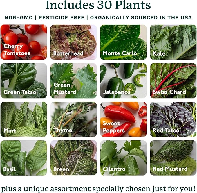 Gardyn Home 4 Vertical Hydroponics Growing System Kit - 30 Non-GMO Plants, Herbs, Vegetables - Smart Tower Garden Hydroponic Herb Garden Planter Indoor Kit - Indoor Gardening System w/LED Grow Lights