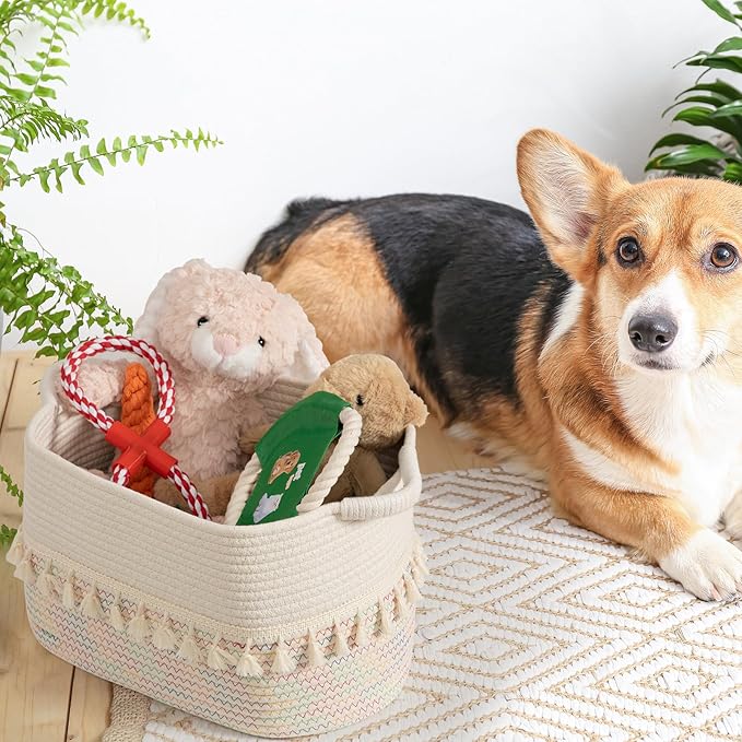 TeoKJ Woven Baskets for Storage, Set of 3 Cotton Rope Basket with Handle for Decor and Storage, Cute Baskets for Organizing in Classroom, Kitchen, Bathroom, White & Stitches Rainbow