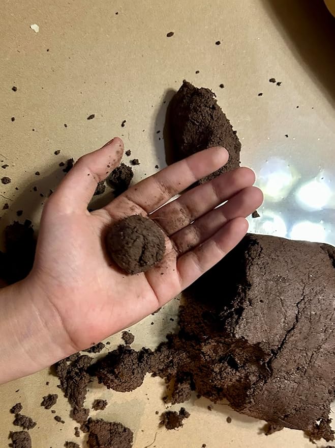 DIY Seedball Making Kit - Eastern Wildflower Edition