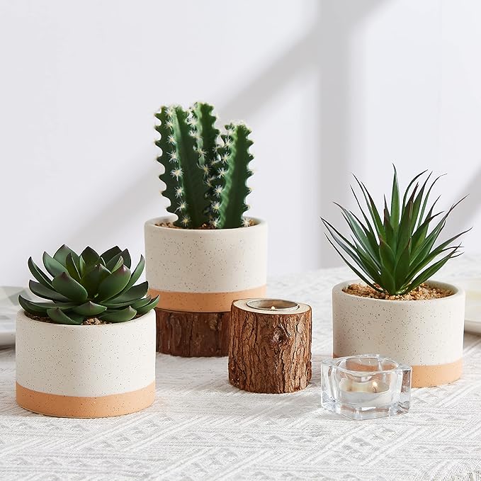 Artificial Succulent Plants in Ceramic Pots, Faux Assorted Succulents Fake Cactus Plants for Home Decor, Bedroom, Office, Desk, Living Room, Set of 3…