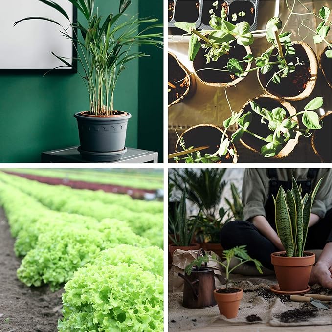 ZeeDix 100 Pcs (40mm) Compressed Coco Coir Fiber Potting Soil Seed Starters - Organic Coco Coir Pellet Fiber Soil for Planting Bonsai, Herbs, Plants, Flowers and Vegetables