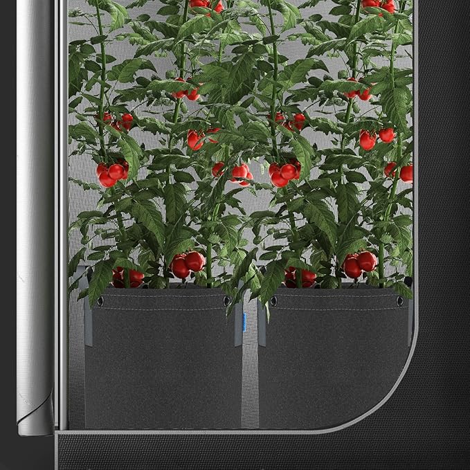 AC Infinity Heavy Duty Fabric Pots, 1 Gallon Aeration Reusable Grow Bags 5-Pack with 500G Thick Nonwoven Fabric and Multi-Purpose Rings, for Low Stress Plant Training Fruits, Vegetables, and Flowers