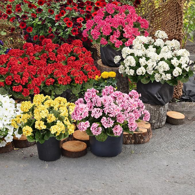 Plastic Flowers for Outdoors Home Decor Fake Plants Artificial Flowers Artificial Geraniums Outdoor Fake Flowers Silk Bouquet, Fall Decor for Interior Porch Garden Decor 14.4" (White) 8PCS