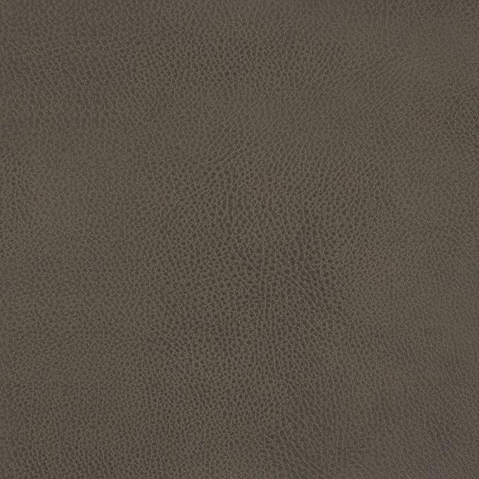 HomePop Modern Metal Frame Accent Chair Home Décor|Accent Chairs for Living Room & Bedroom - Pewter Gray Faux Leather