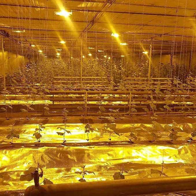 HFS(R) 6Mil Diamond Film Foil Roll Highly Reflective for Grow Room, Greenhouse (4X50FT)