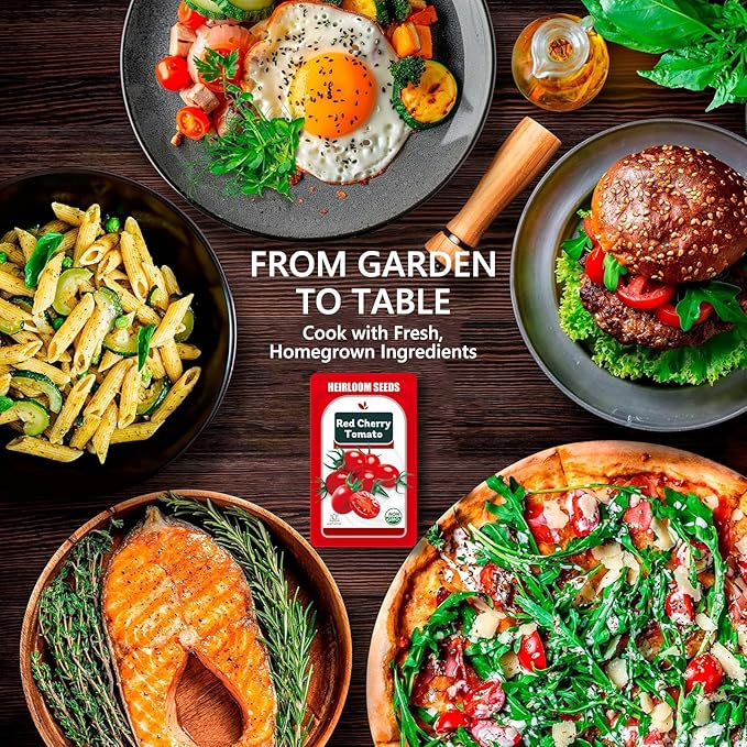 Cherry Tomato Seed Pods Kit for Hydroponics, 12 Pods Grow Anything Kit for Indoor Hydroponics Growing System, Hydroponics Supplies with 12 Grow Sponges, 12 Plant Baskets, 12 Pod Domes and Labels