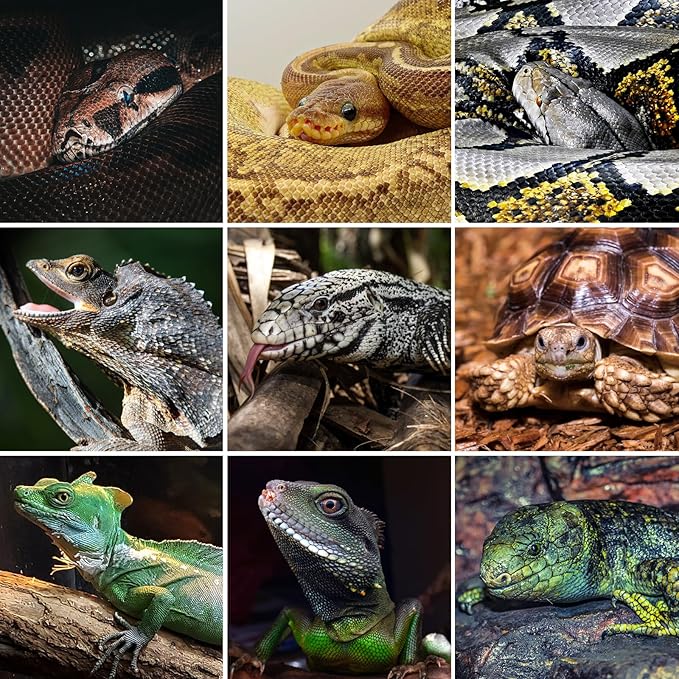 REPTI ZOO 120 Gallon PVC Reptile Tank Terrarium, 48x24x24 Reptile Terrarium for Ball Python Snake Bearded Dragon Gecko, Large Reptile Glass Tank with Sliding Door & Screen Ventilation