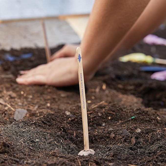 Modern Sprout Seed Pops - Organic Non-GMO Humble Bee, Butterfly & Song Bird Wildflower Seeds - Fun Family Activity - Ideal for Indoor & Outdoor - Gift for Kids, Adults & Plant Lovers (Pack of 12)