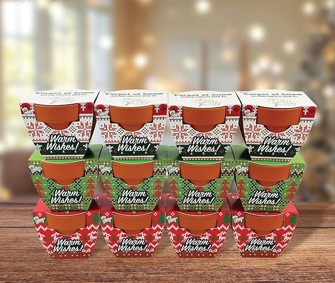 BUZZY Seeds Holiday Mini Terracotta Pots Grow Kit, 12-Pack Assorted Christmas Basil, Spruce, and Alyssum Seed Packets, Indoor Plant Starter Set, Stocking Stuffers, Party Favors