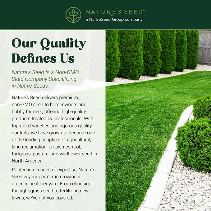 Nature’s Seed TWCA Water-Wise Blue Ribbon Mix, Kentucky Bluegrass and Perennial Ryegrass Grass Seed Blend, High-Traffic, Shade Tolerant, for Garden, Lawn, Yard, 5 lbs