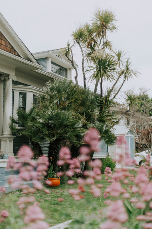 Mindful Gardening: Cultivating Calm in Your Outdoor Space