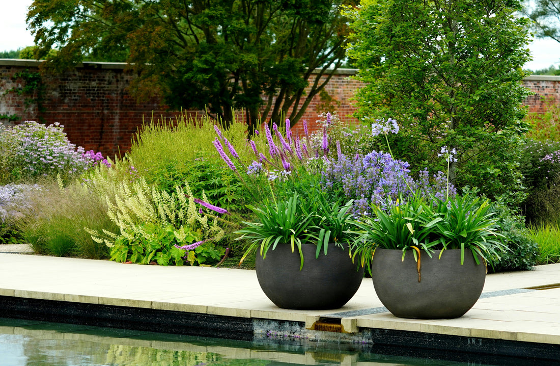 Soft Landscaping Ideas for a Peaceful Terrace