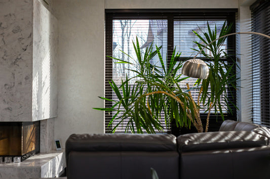 Biophilic Design: Connecting Your Home with Nature