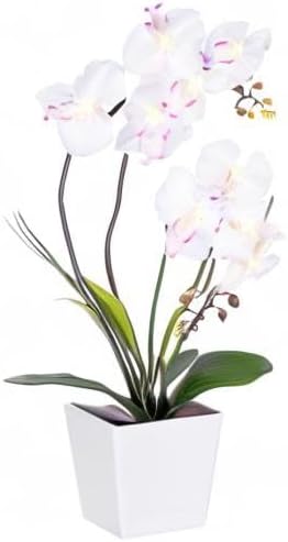 HOMESEASONS Homeseaons Orchid Lamp-LED Lighted Orchid Arrangements,Pre Lit Artificial Orchid,Light Up Flower Lights, Faux Orchid Phalaenopsis Arrangement (White)