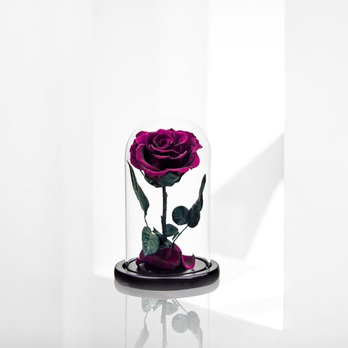 Preserved Roses Purple Roses in Glass Dome, Medium, Preserved Flowers for Women