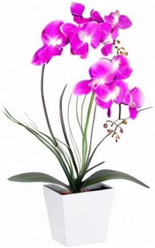 HOMESEASONS Orchid Lamp-LED Lighted Orchid Arrangements,Pre Lit Artificial Orchid,Light Up Flower Lights, Faux Orchid Phalaenopsis Arrangement (Purple)