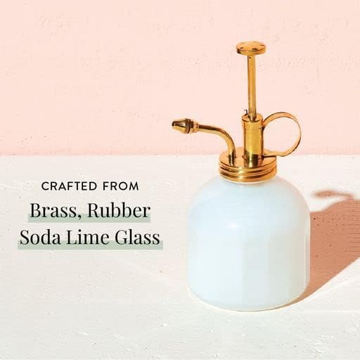 Modern Sprout Plant Mister, 8 oz Indoor Watering Can, Aesthetic Plant Sprayer & Water Mister Spray Bottle, Garden Watering Can for Seed Starting, Vintage-Inspired Gift for Green Lovers - White