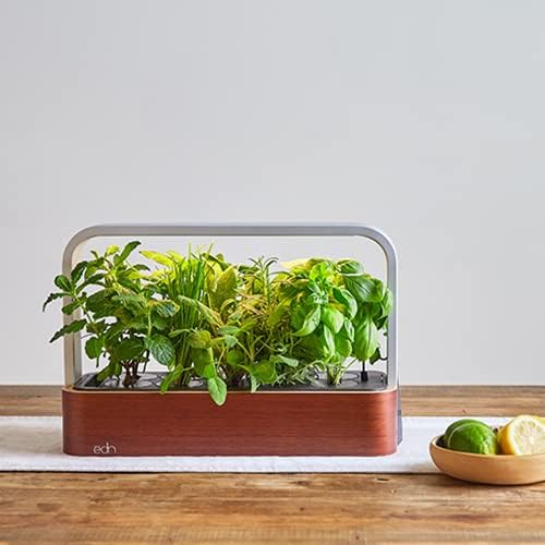 EDN SmallGarden with Basil SeedPods, Indoor Grow Smart Garden for iOS Devices - Fresh Home Grown Herbs, Plants and Flowers - Grow up to 10 Different Plants at Once