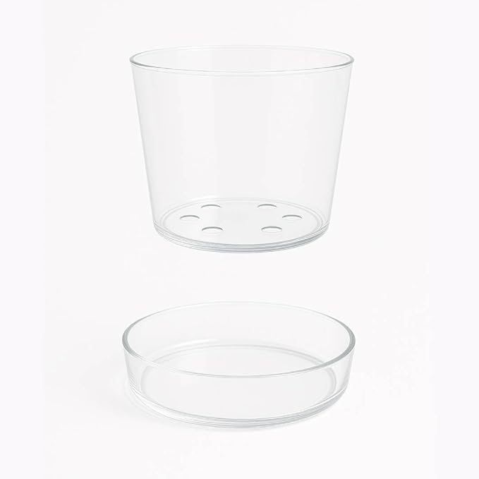 Sheer Glass Pot Planter with Drainage Holes & Tray - Decorative & Modern for All House Plants (6 Inches)