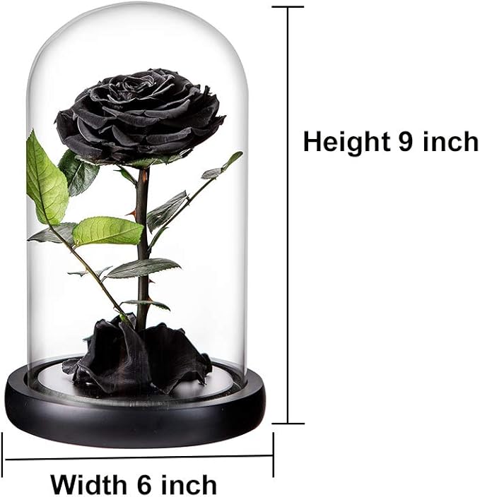 Preserved Roses Black Roses Handmade Real Rose in Glass Dome, Preserved Roses Never Withered Romantic Gifts for Her, Mother's Day, Birthday Gifts for Women (9 inch, Black)