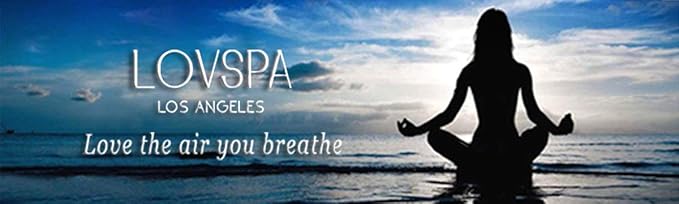 LOVSPA Reed Diffuser Set, Paradise Coconut Lime Verbena Scented Oil Diffuser with Sticks, Home Fragrance Accessories for Bathroom Shelf Decor, Aroma Diffusers for Home or Office Desk, USA Made