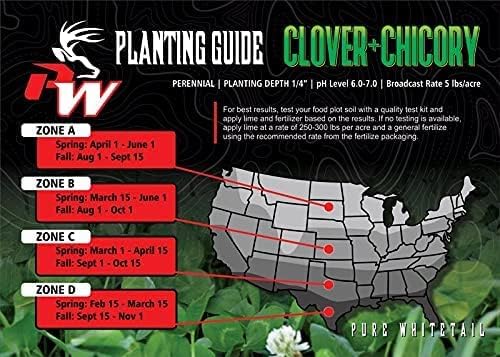 Clover/Chicory | Select Seed Blends | All Season Whitetail Deer & Turkey Perennial Food Plot Seed | Drought Resistant | Easiest Turkey & Deer Feeders | Plants 1 Acre | 5 lb Bag