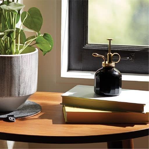 Modern Sprout Plant Mister, 8 oz Indoor Watering Can, Aesthetic Plant Sprayer & Water Mister Spray Bottle, Garden Watering Can for Seed Starting, Vintage-Inspired Gift for Green Lovers - Black