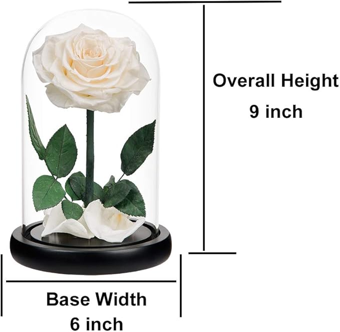 Preserved Roses White Roses Handmade Rose in Glass Dome, Preserved Flowers Never Withered Romantic Gifts for Her, Mother's Day, Birthday Gifts for Women (9 inch)