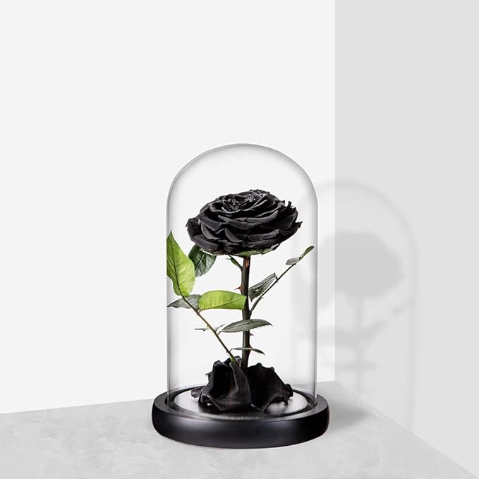 Preserved Roses Black Roses Handmade Real Rose in Glass Dome, Preserved Roses Never Withered Romantic Gifts for Her, Mother's Day, Birthday Gifts for Women (9 inch, Black)